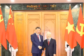 Tổng Bí thư của Việt Nam và Trung Quốc gửi Thư chúc mừng Năm mới Giáp Thìn