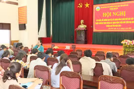 Quang cảnh lớp tập huấn