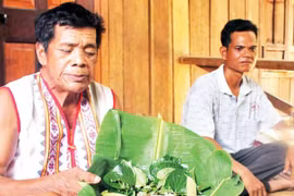 Món cá gỏi kiến vàng của người Rơ Măm