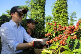 Thách thức mới trong xuất khẩu nông sản 