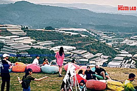 'Cơn sốt' check-in quán cà phê đẹp tại Đà Lạt