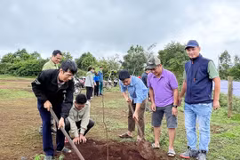 “Vì một Việt Nam xanh”