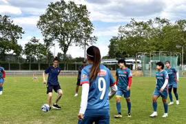 FIFA cử chuyên gia sang Đức hỗ trợ đội tuyển nữ Việt Nam 