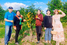 Chư Păh chú trọng phát triển du lịch nông nghiệp