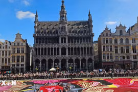 Thảm hoa Brussels 2024 - kiệt tác nghệ thuật lộng lẫy giữa lòng châu Âu