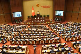 Nâng cao năng lực phản ứng chính sách