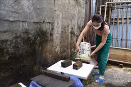 Đắk Lắk: Ghi nhận trường hợp đầu tiên tử vong vì sốt xuất huyết trong năm 2024