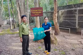 Bàn giao 1 cá thể trăn đất cho VQG Chư Mom Ray