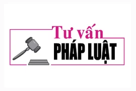 Luật sư Bùi Thanh Vũ tư vấn về quyền thừa kế theo di chúc