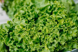 3 loại vitamin tốt nhất cho não