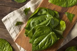 Tác dụng chữa bệnh của lá trầu bạn nên biết