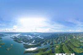 Vườn Quốc gia Tà Đùng - Kỳ quan ấn tượng giữa đại ngàn Tây Nguyên