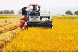 Ia Rbol lan tỏa phong trào sản xuất kinh doanh giỏi