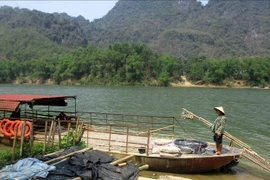 Tròng trành con chữ ở làng Bèo Bọt