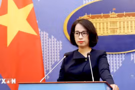 Người Phát ngôn Bộ Ngoại giao bình luận hoạt động của trường Fulbright Việt Nam