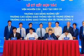 Thành lập Viện Nghiên cứu - Đào tạo Đèo Cả