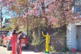 Đà Lạt lọt top 10 điểm đến có giá phòng rẻ khu vực châu Á - Thái Bình Dương