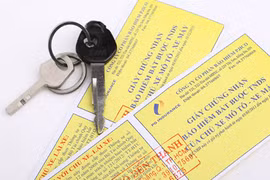 Quy định mới về mức phí bảo hiểm bắt buộc trách nhiệm dân sự của chủ xe cơ giới