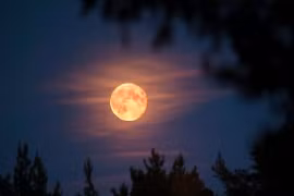 Thơ Nguyễn Ngọc Hưng: Nguyệt thực 