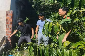 Công an huyện Ngọc Hồi triệt phá nhóm đối tượng chuyên trộm cắp cà phê