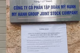 Chủ tịch Công ty Mỹ Hạnh bị bắt vì lừa đảo trồng Sâm Ngọc Linh