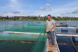 Sẵn sàng nguồn thủy sản phục vụ Tết