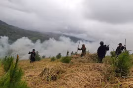 Phấn đấu đảm bảo nguồn thu từ dịch vụ môi trường rừng tăng trưởng ổn định, bình quân 5%/năm