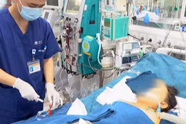 Bé trai tử vong vì ong vò vẽ đốt hơn 100 nốt trên đường đi học