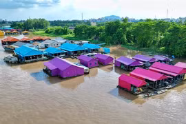 Độc đáo làng bè '7 sắc cầu vồng' mới xuất hiện ở An Giang