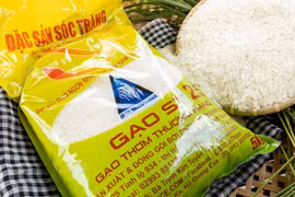 Giá gạo xuất khẩu tiếp tục tăng 