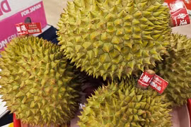 Loại trái cây giúp ngành rau quả mang về 5 tỉ USD từ xuất khẩu