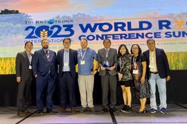 Gạo ST25 lần thứ 2 đoạt giải Gạo ngon nhất thế giới