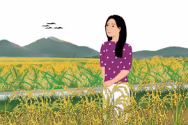 Nhớ những mùa vàng