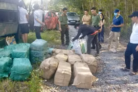 Quảng Trị: Phát hiện xe tải chở hơn 400 kg chất nổ