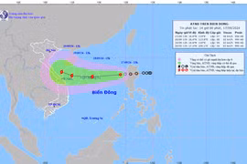 Chủ động ứng phó áp thấp nhiệt đới có khả năng mạnh lên thành bão