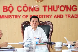 Bộ Công Thương lập đoàn thanh tra EVN, làm việc trong 30 ngày, kể cả ngày nghỉ 