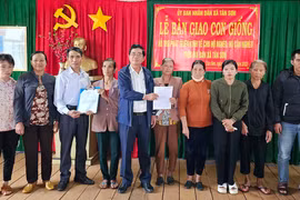 Pleiku: Trao 56 con bò giống, heo giống cho các hộ nghèo và cận nghèo 