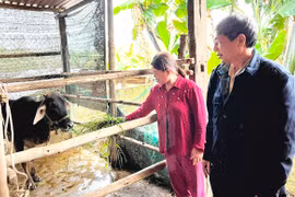 Song An nỗ lực giảm nghèo về thông tin