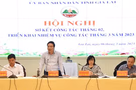 Chủ tịch UBND tỉnh Trương Hải Long: Tập trung gỡ khó để hoàn thành nhiệm vụ 