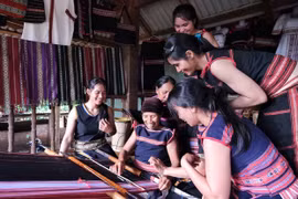 Hỗ trợ hợp tác xã do phụ nữ quản lý