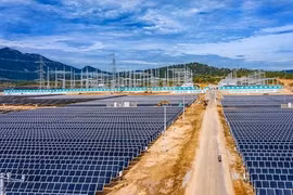 Lý do Chủ tịch Trung Nam Group được gỡ lệnh cấm xuất cảnh