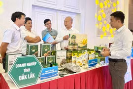 Chương trình cấp quốc gia về xúc tiến thương mại 2024