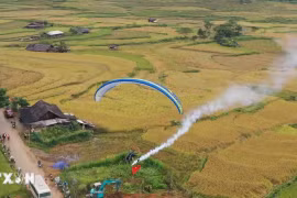 Đến Mù Cang Chải ngắm dù lượn vào dịp nghỉ lễ 2/9