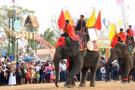 Voi không xuất hiện trong tiết mục quan trọng ở Lễ hội cà phê Buôn Ma Thuột 