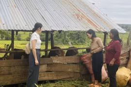 Chư Pưh: Mô hình “3 biết, 2 hỗ trợ” giúp phụ nữ vươn lên