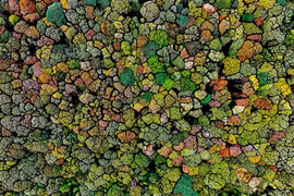 Từ trên cao dõi mắt ngắm phong cảnh kỳ ảo ở Kon Tum