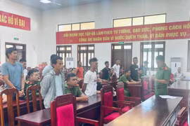 Khởi tố 10 đối tượng hủy hoại tài sản của 1 doanh nghiệp 