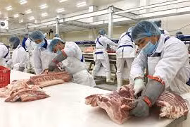 Những chuyện phía sau thịt nhập