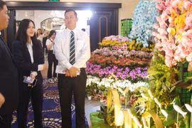 Hiệp hội Hoa Đà Lạt triển lãm hoa lan nghệ thuật tại TP Hồ Chí Minh