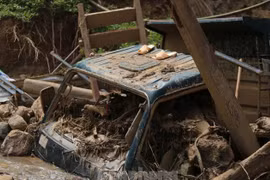 Trước thảm họa 